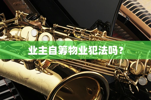业主自筹物业犯法吗？