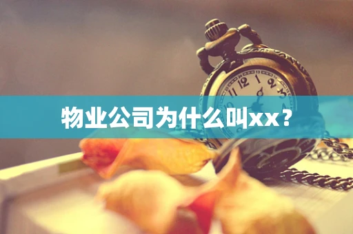 物业公司为什么叫xx？