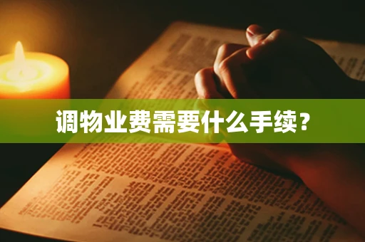 调物业费需要什么手续？