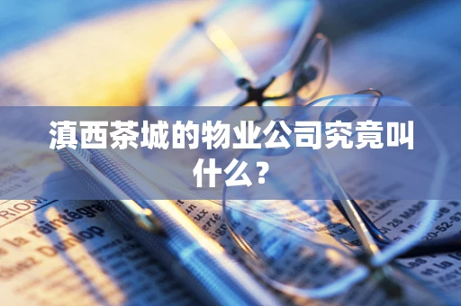 滇西茶城的物业公司究竟叫什么？