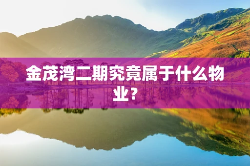 金茂湾二期究竟属于什么物业？