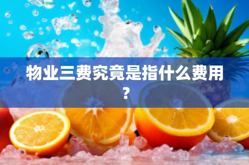 物业三费究竟是指什么费用？
