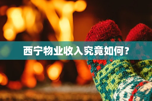 西宁物业收入究竟如何？