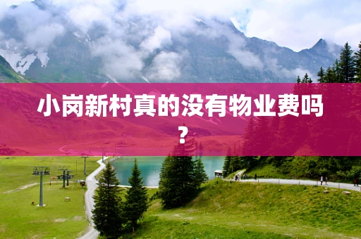 小岗新村真的没有物业费吗？