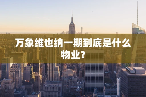 万象维也纳一期到底是什么物业？