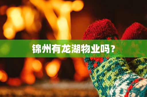 锦州有龙湖物业吗？