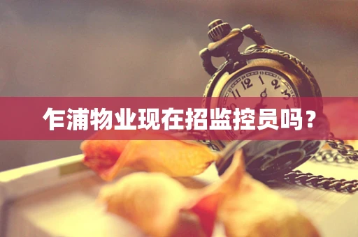 乍浦物业现在招监控员吗？