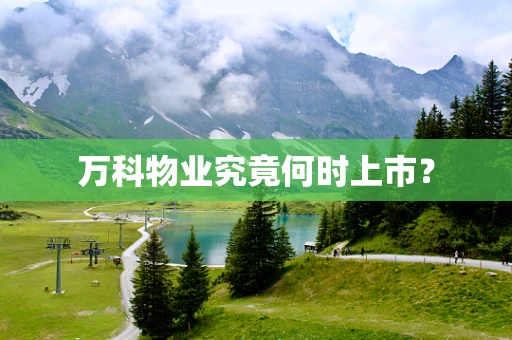 万科物业究竟何时上市？