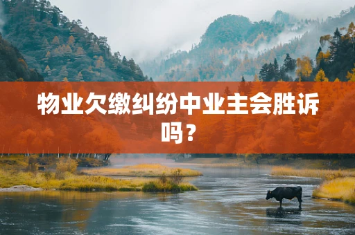 物业欠缴纠纷中业主会胜诉吗？