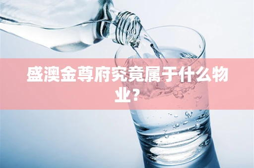 盛澳金尊府究竟属于什么物业？