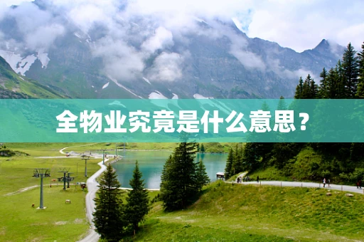全物业究竟是什么意思？