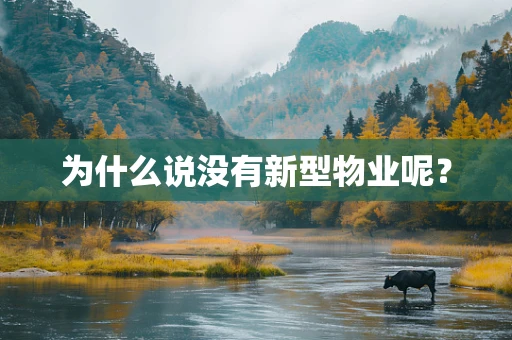 为什么说没有新型物业呢？