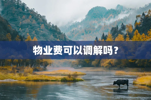 物业费可以调解吗？