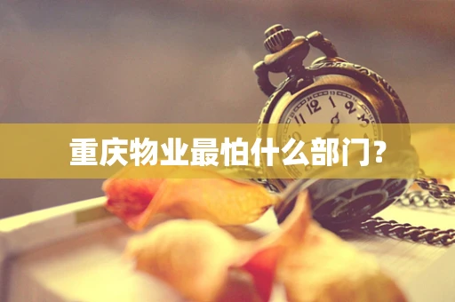 重庆物业最怕什么部门？