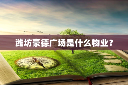 潍坊豪德广场是什么物业？