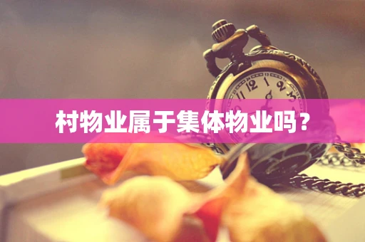 村物业属于集体物业吗？
