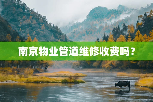 南京物业管道维修收费吗？