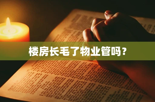 楼房长毛了物业管吗？