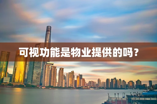 可视功能是物业提供的吗？
