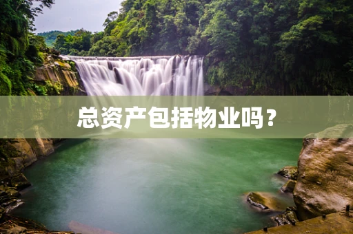 总资产包括物业吗？