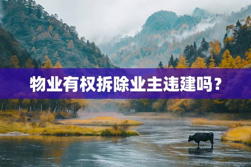 物业有权拆除业主违建吗？