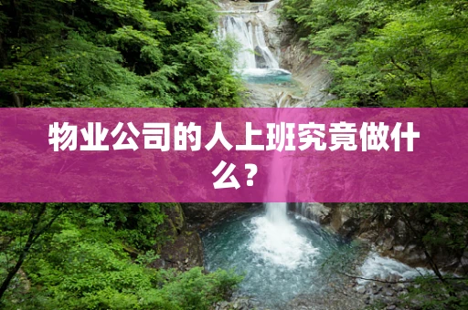 物业公司的人上班究竟做什么？