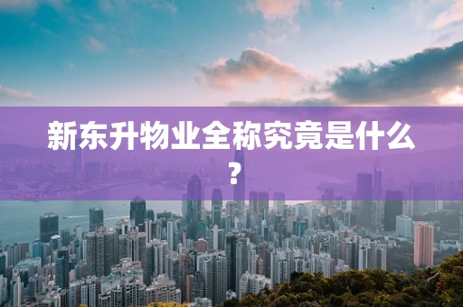 新东升物业全称究竟是什么？