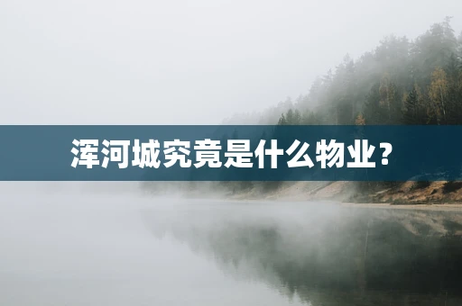 浑河城究竟是什么物业？