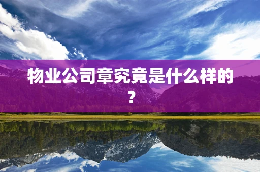 物业公司章究竟是什么样的？