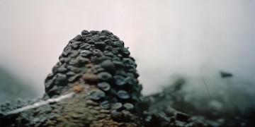 喜洋居物业真的安全吗？