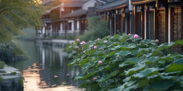 苏州悦棠湾是什么物业？