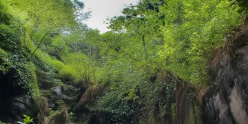 滨江花园现在物业收费吗？