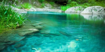 河清路物业会收费吗？