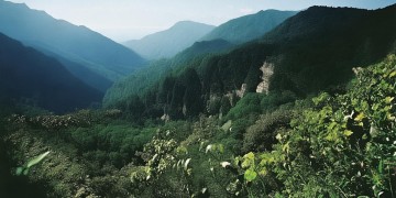 成都广场巷物业会收费吗？