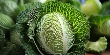 物业卖的大白菜究竟是什么？