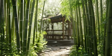 芭蕉院是否有物业管理呢？