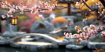 重阳节物业该送什么礼物呢？