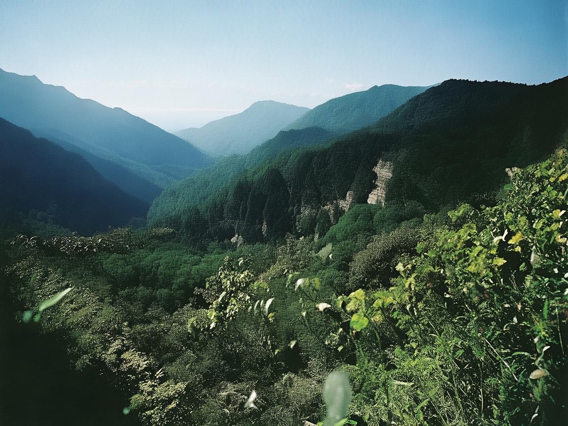 成都广场巷物业会收费吗? 成都广场巷物业会收费吗?