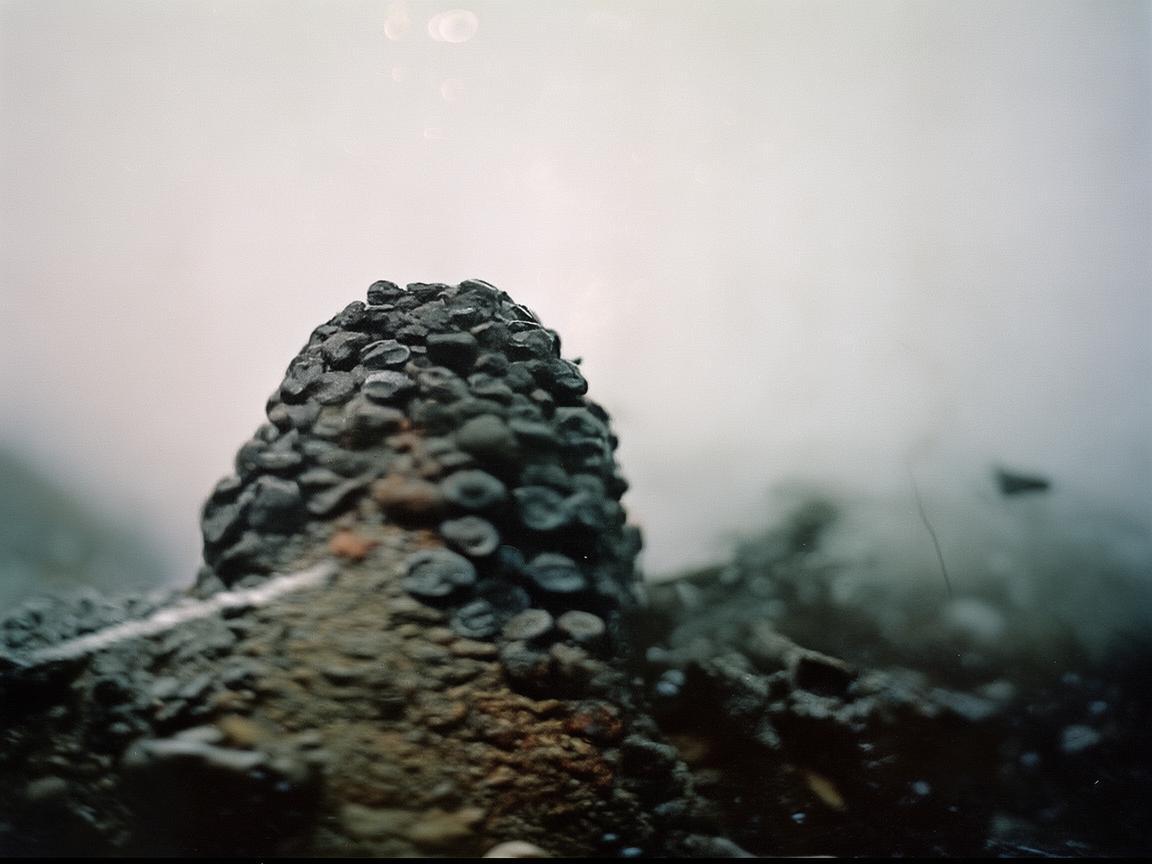 喜洋居物业真的安全吗？